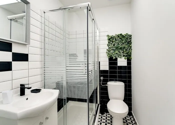 公寓 Black & White 里耶卡